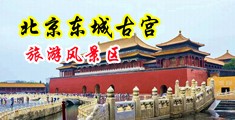多人群奸淫娃喷水抽搐中国北京-东城古宫旅游风景区